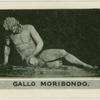 Gallo Moribondo
