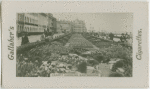 Carpet gardens, Eastbourne.