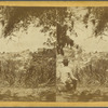 Looking from Prospect Hill