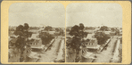 Demerara
