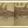 Thatched Negro Huts on the Coast