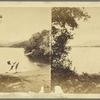 Salt River. Lagoon, with the Estate Montpelier in the distance