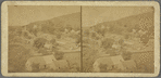 Views at Butlers Bay, the Estate of Geert Gyllick, Esq