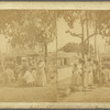 Scenes in the Fish market at Fredericksted, St. Croix, W. I.