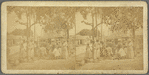 Scenes in the Fish market at Fredericksted, St. Croix, W. I.