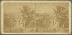 Sugar Plantation at Jolie Hill