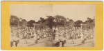 Market Day, West End, St. Croix, Danish W. I.