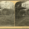 A Typical Negro Cabin, Louisiana