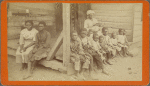 The way the Negro race is dying out