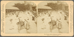 The Victoria Market, Kingston, Jamaica