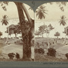 Bay of Port Antonio, Jamaica