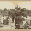 Jamaica, Roadside Market near Port Antonio