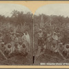 Jamaica, Group of Coolies