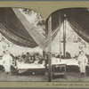 Hospital tent and Interior, showing cots, etc