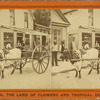 The Lightning Express; Or, the Team of a Florida Cracker