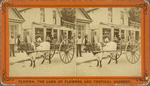 The Lightning Express; Or, the Team of a Florida Cracker