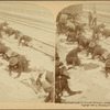 The gallant 25th (Colored Troops) preparing to Embark for Cuba