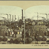 Levee Scene on Lower Mississippi River