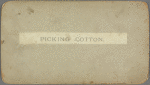 Picking cotton