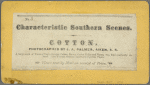 Cotton