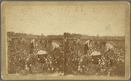 Picking cotton