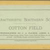 Cotton Field