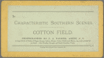 Cotton Field