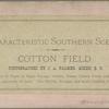 Cotton Field