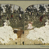 Cotton is King