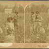Our little Cotton Coop