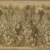 Away Down Among the Cotton and the Coons, Lousiana, U. S. A.