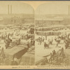 Trucking Cotton from Steamboat, New Orleans Levee, U. S. A.