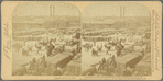 Trucking Cotton from Steamboat, New Orleans Levee, U. S. A.