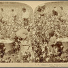 Cotton is King, Plantation Scene, Georgia, U. S. A.