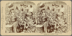 Cotton is King, Plantation Scene, Georgia, U. S. A.