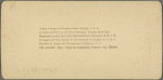 Cotton is King, Plantation Scene, Georgia, U. S. A.