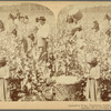 Cotton is King, Plantation Scene, Georgia, U. S. A.
