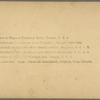 Cotton is King, Plantation Scene, Georgia, U. S. A.