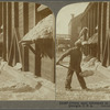 Cotton seed delivered at mill where oil is extracted. Georgia, U. S. A.