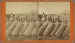 Shipping cotton, in RR Yard