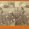 Cotton Picking" in Ga