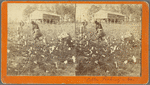 Cotton Picking" in Ga