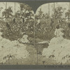 Cotton is King, a Plantation Scene