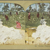 Cotton Plantation Scene