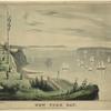 New York Bay, from the telegraph station