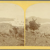 W. I. St. Thomas