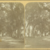 Heerestraat, Paramaribo (Surinam)
