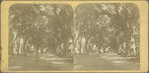 Heerestraat, Paramaribo (Surinam)