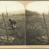 Planting a twig where he supposes his wife and ten children, victims of distant steaming Souffriere, are buried, St. Vincent, W. I.