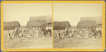 Plantation workers of St. Thomas
